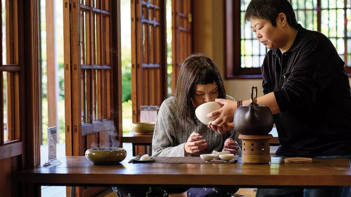 Teasemoonga: A Flavorful Journey in Every Cup